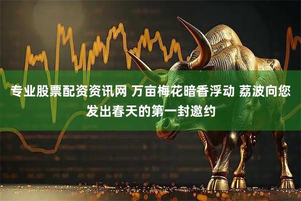 专业股票配资资讯网 万亩梅花暗香浮动 荔波向您发出春天的第一封邀约