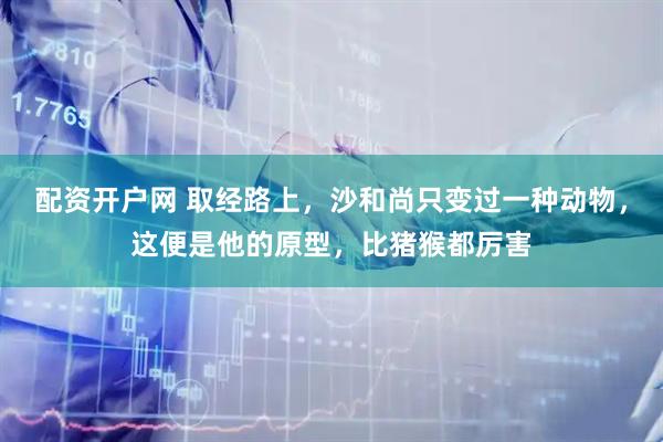 配资开户网 取经路上，沙和尚只变过一种动物，这便是他的原型，比猪猴都厉害